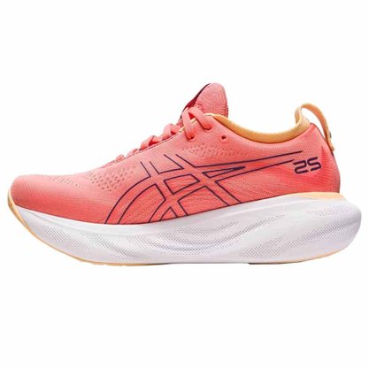 Tênis Asics Gel Nimbus 25 Feminino 1012B356-700