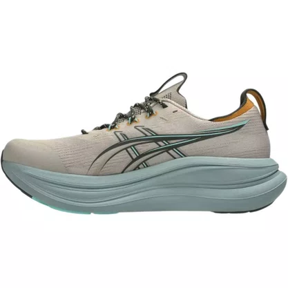 Tênis Asics Gel Nimbus 28 Tr Masculino 1011C309-250