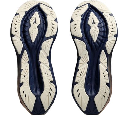Tênis Asics Novablast 4 Platinum Feminino 1012B739-400