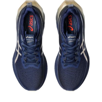Tênis Asics Novablast 4 Platinum Masculino 1011B945-400