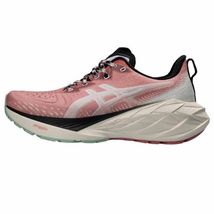 Tênis Asics Novablast 4 Tr Feminino 1012B654-250