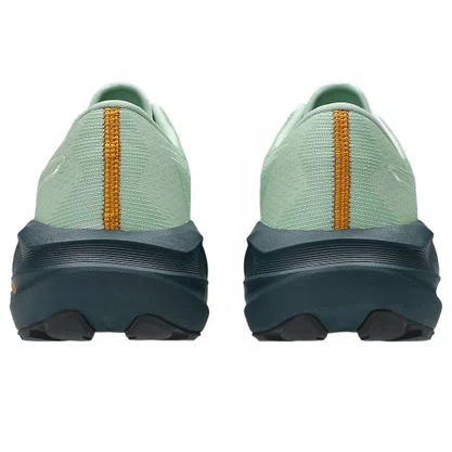 Tênis Asics Novablast 5 Tr Masculino 1011C138-300