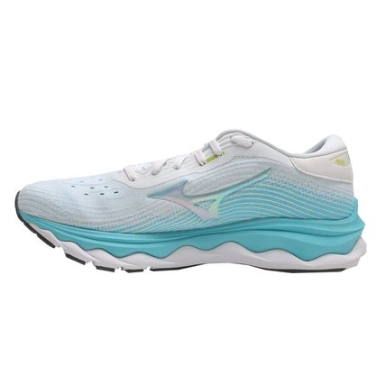 Tenis Mizuno Wave Sky 5 Feminino 4146809-0198