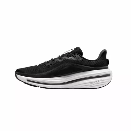Tênis Nike Winflo 12 Masculino HV9272-002