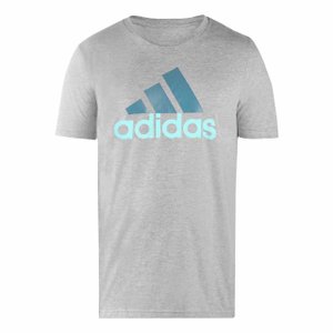 Camiseta Adidas M/C Big Logo Masculina IV7462