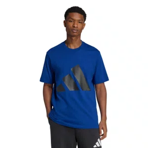 Camiseta Adidas M/C Big Logo Masculina JE8942