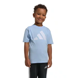 Camiseta Infantil Adidas M/C Essentials Big Logo KD6002