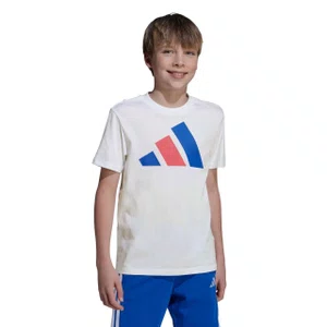 Camiseta Juvenil Adidas M/C Big Logo JY0298