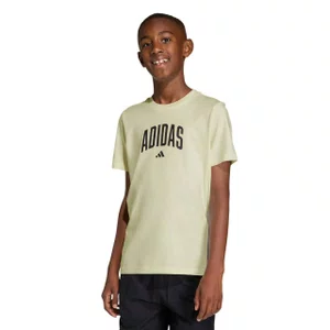 Camiseta Juvenil Adidas M/C Collegiate Graphic KE1347