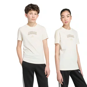 Camiseta Juvenil Adidas M/C Collegiate KW7977