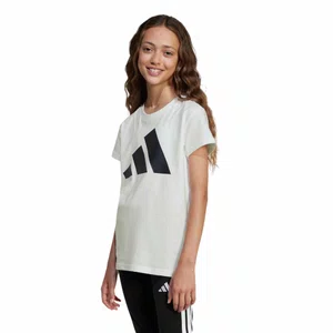 Camiseta Juvenil Adidas M/C Essentials Big Logo JC9627