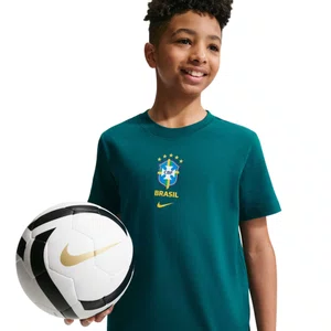 Camiseta Juvenil Nike M/C Brasil Crest IH2257-381