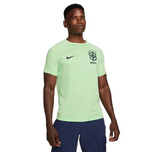 Camiseta Nike Brasil Academy Pro Masculina DM9532-390