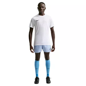 Camiseta Nike M/C DF Park VIII Masculina HV8173-100