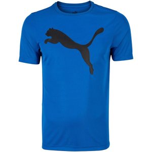 Camiseta Puma Active Big Logo Masculina 671738-05