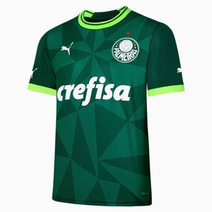 Camiseta Puma Palmeiras Torcedor I 23 Masculina 773433-01