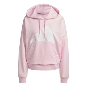 Moletom Adidas Big Logo Com Capuz Feminino JN1847