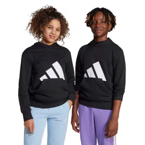 Moletom Juvenil Adidas Big Logo com Capuz JC9667