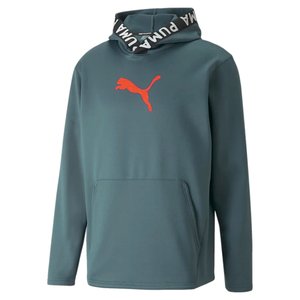 Moletom Puma Train PWR Fleece Masculino 520893-42
