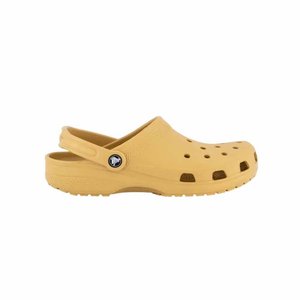 Sandália Crocs Classic Unissex 10001-209