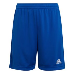 Shorts Juvenil Adidas Entrada 22 HG6291