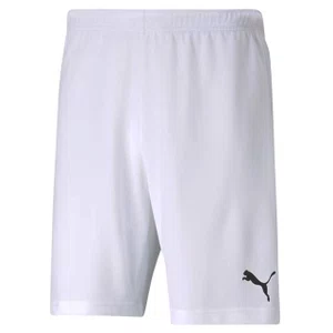 Shorts Puma Teamrise Masculino 704942-03