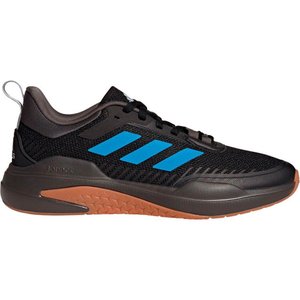 Tênis Adidas Trainer V Masculino GW4056