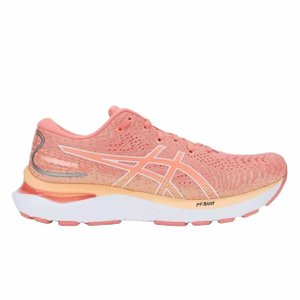 Tênis Asics Gel Cumulus 24 Se Feminino 1012B336-701