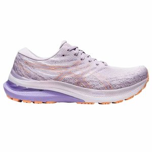 Tênis Asics Gel Kayano 29 Feminino 1012B272-501