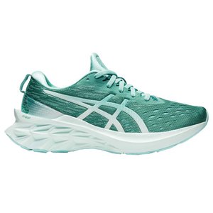 Tênis Asics Novablast 2 Feminino 1012B049-300