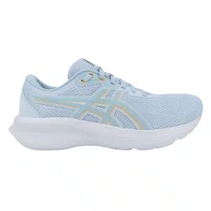 Tênis Asics Raiden 5 Feminino 1012C048-400