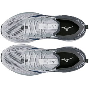 水橋 Spring Garden House 40682 | Other | Buy online at the Official