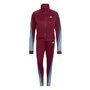 Agasalho Adidas Teamsports Feminino HD6566