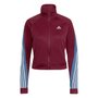 Agasalho Adidas Teamsports Feminino HD6566