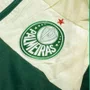 Agasalho Betel Palmeiras Alviverde Masculino 9926011-0502