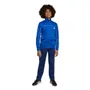 Agasalho Juvenil Adidas Colour Pop JX0204