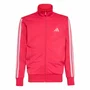 Agasalho Juvenil Adidas Essentials Climacool KQ7815