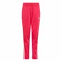 Agasalho Juvenil Adidas Essentials Climacool KQ7815