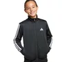 Agasalho Juvenil Adidas Seasonals JD6502