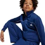 Agasalho Juvenil Adidas Seasonals JX8746