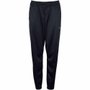 Agasalho Mizuno Root Feminino MIFST2430-M274
