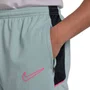 Agasalho Nike DF Academy Masculino HJ3773-395