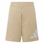 Bermuda Juvenil Adidas Essentials Big Logo KQ7804