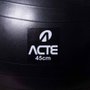 Bola Acte Gym Ball 45cm Unissex T9-45P