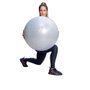 Bola Acte Gym Ball 65cm Unissex T9-C