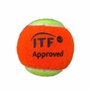 Bola Beach Tennis Sexy Unitária Unissex SBB001_UN
