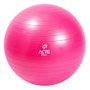 Bola de Pilates Acte Gym Ball 65cm c/ bomba Unissex T9-RS