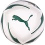 Bola Puma Futebol Palmeiras Iconic 083665-01