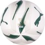 Bola Puma Futebol Palmeiras Iconic 083665-01