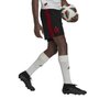 Calção Adidas Flamengo II 22/23 Masculino H18339